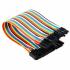 DU Pont Cable 40 Way F-F 20 cm
